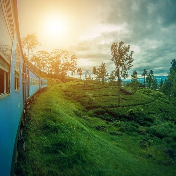 Sri Lanka for Digital Nomads – All you need to know