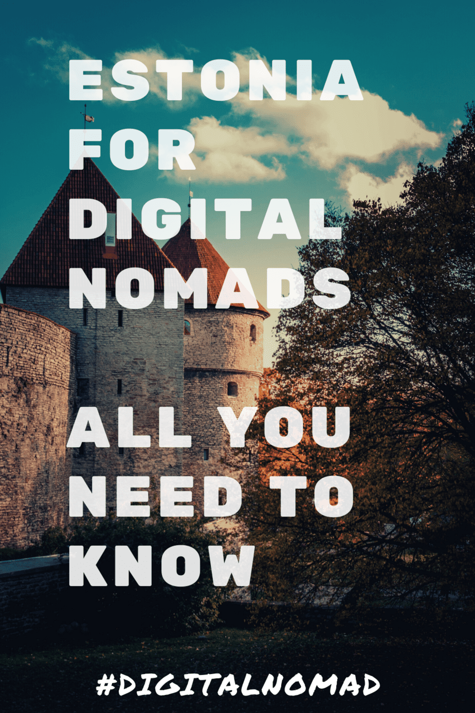 Estonia for Digital Nomads: Why It Should Be Your New Hub?